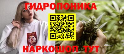 индика Среднеуральск