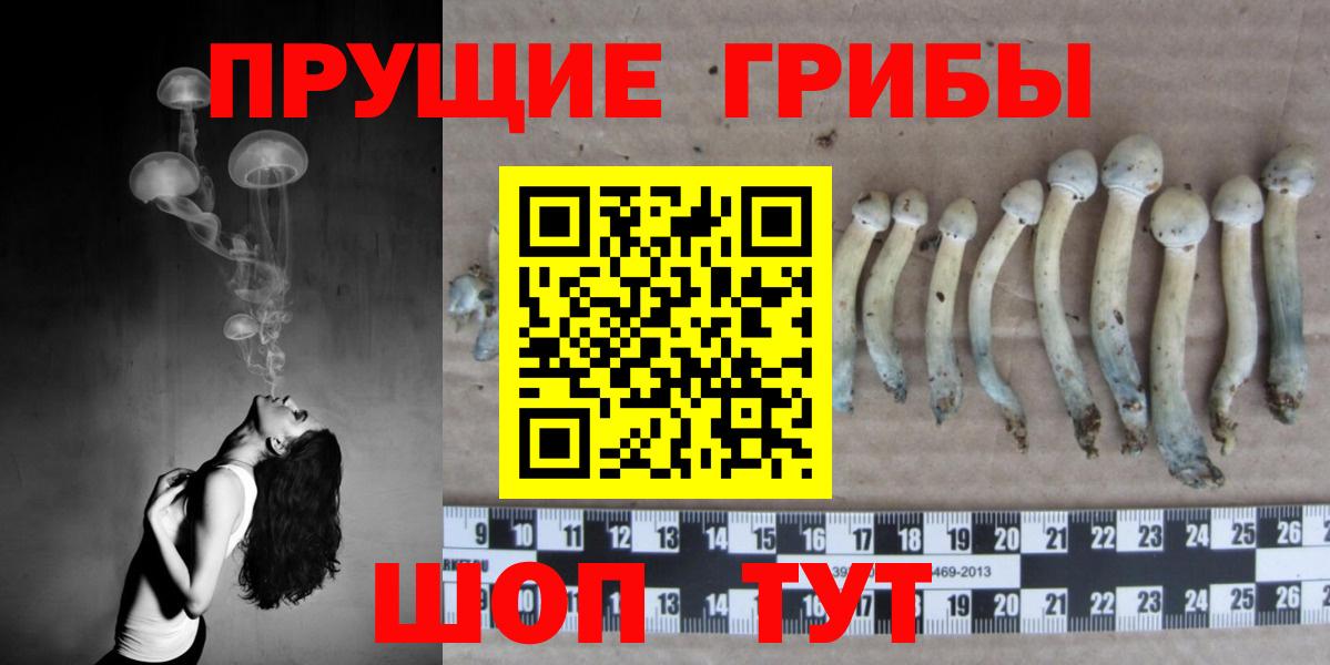 Псилоцибиновые грибы Cubensis  Вход с VPN  Нягань  Галлюциногенные грибы GOLDEN TEACHER 